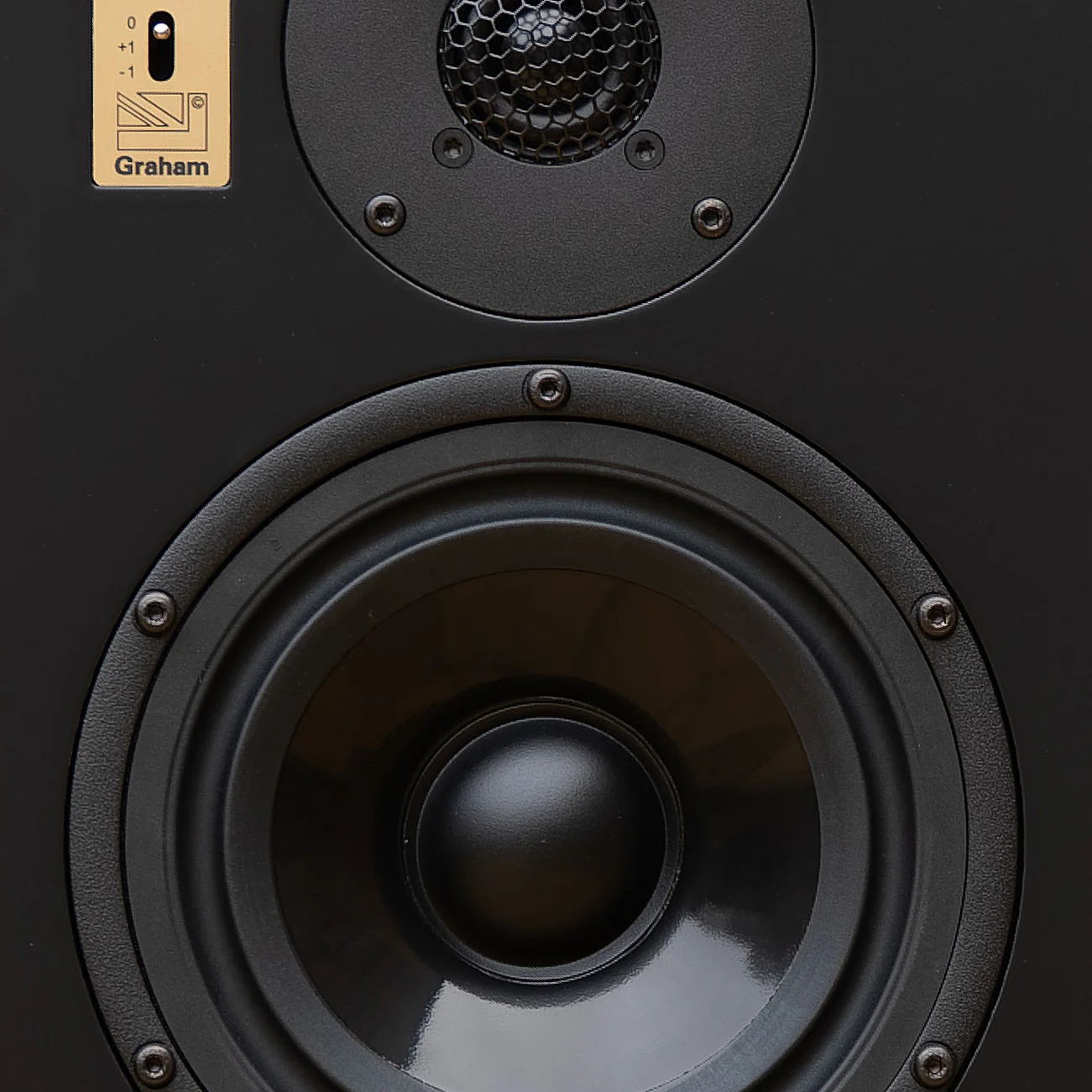 Close-up of a Graham Audio loudspeaker: tweeter above a doped-paper woofer