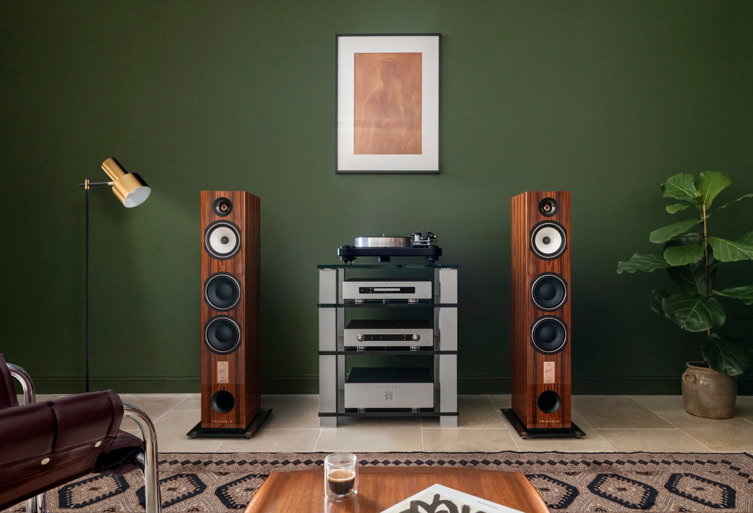 Triangle floorstanders in walnut around a component rack against a deep green wall